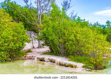 Small Beautiful Cenote Cave With River And Turquoise Blue Water At Punta Esmeralda Beach In Playa Del Carmen Quintana Roo Mexico.