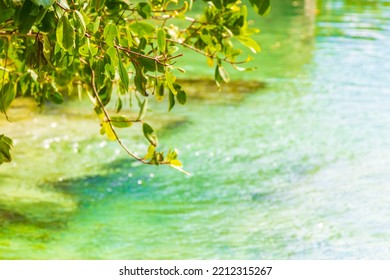 Small Beautiful Cenote Cave With River And Turquoise Blue Water At Punta Esmeralda Beach In Playa Del Carmen Quintana Roo Mexico.