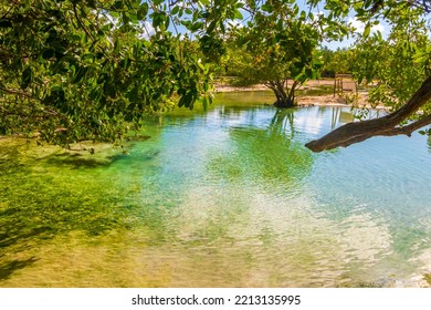 Small Beautiful Cenote Cave With River And Turquoise Blue Water At Punta Esmeralda Beach In Playa Del Carmen Quintana Roo Mexico.