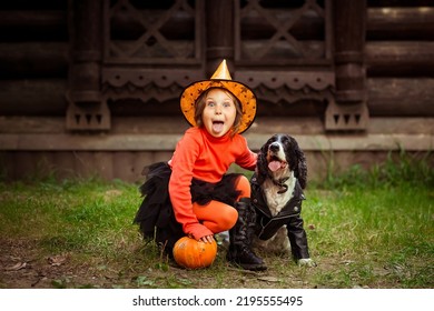 a small, beautiful girl in an orange and black witch costume and a hat, sitting on the porch with a dog in a leather jacket and a pumpkin - Powered by Shutterstock