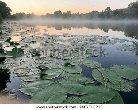 Similar – Image, Stock Photo seascape Reflection