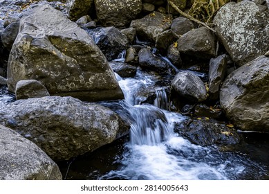 A small beautiful mini waterfall cascade flowing smoothly through dark wet river rocks and boulders in a peaceful deep forest stream setting.
