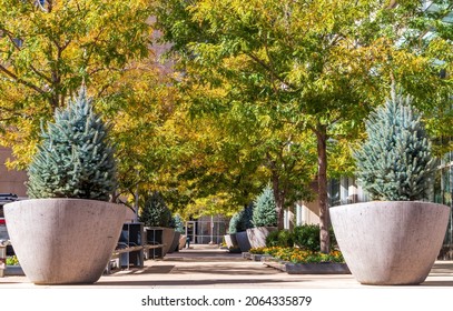 Small Beautiful Park In Front Of An Office Building In Downtown Denver, Colorado