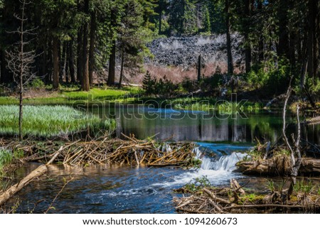 Small beaver dam creates a waterfall at North Fork Little Butte Creek