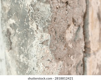 Small bee digs into sandy earth with focused effort. Dust swirls around its tiny, industrious body. It works tirelessly in its natural, rugged habitat. Ideal for themes of persistence. 