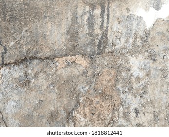 Small bee digs into sandy earth with focused effort. Dust swirls around its tiny, industrious body. It works tirelessly in its natural, rugged habitat. Ideal for themes of persistence. 