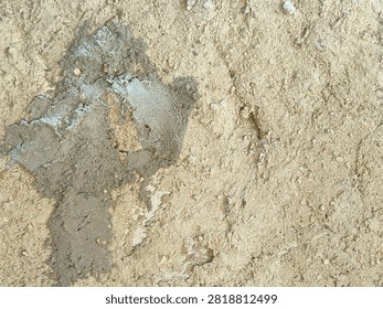 Small bee digs into sandy earth with focused effort. Dust swirls around its tiny, industrious body. It works tirelessly in its natural, rugged habitat. Ideal for themes of persistence. 