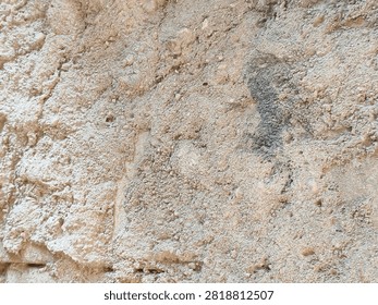 Small bee digs into sandy earth with focused effort. Dust swirls around its tiny, industrious body. It works tirelessly in its natural, rugged habitat. Ideal for themes of persistence. 