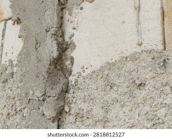 Small bee digs into sandy earth with focused effort. Dust swirls around its tiny, industrious body. It works tirelessly in its natural, rugged habitat. Ideal for themes of persistence. 