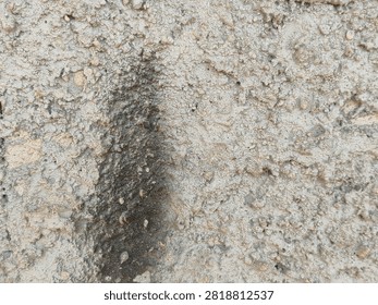 Small bee digs into sandy earth with focused effort. Dust swirls around its tiny, industrious body. It works tirelessly in its natural, rugged habitat. Ideal for themes of persistence. 