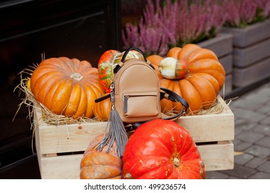 Small Beige Bagpack On Pumpking Background .