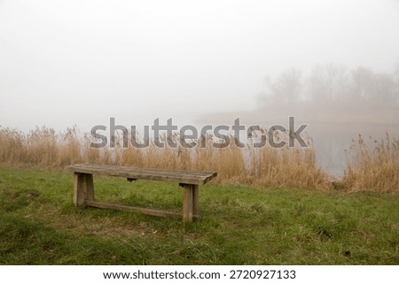 Small bench in cold winter scene forest with foggy lake view. Autumn landscape, misty morning view during hike. Hiking trail resting spot with mist and fog.