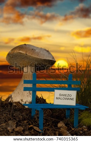 Small bench with wet paint and giant mushroom at sunset Zdjęcia stock © 
