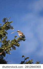 A small bird perched on a tree branch with green leaves, against a bright blue sky.