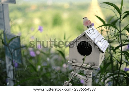 Small bird standing on wooden birdhouse in spring garden