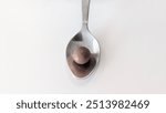 A small, bite-sized chocolate ball rests in a spoon, set against a clean white background. The simplicity of the presentation highlights the richness and texture of the chocolate, perfect for represen