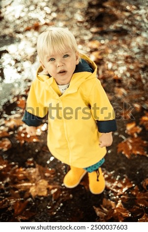 Similar – Image, Stock Photo Small blond infant boy wearing yellow rubber boots and yellow waterproof raincoat walking in puddles on a overcast rainy day. Child in the rain.