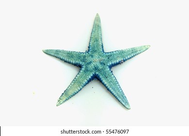 Small Blue Starfish Isolated On White