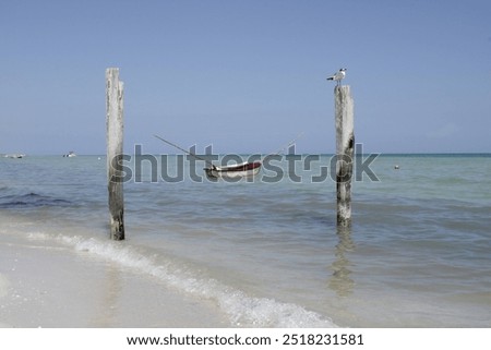 Similar – Image, Stock Photo Meeting of the boat masts in the harbor.
