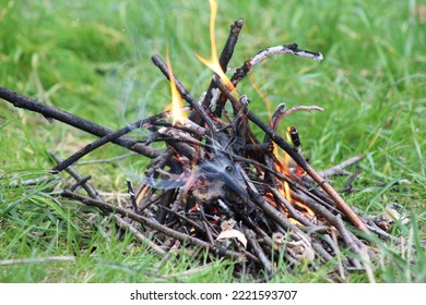 Small Bonfire On The Stone, In Nature. From Small Twigs