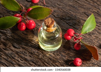 A Small Bottle Of Essential Oil With Fresh Wintergreen Leaves And Berries