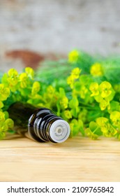 Small Bottle Of Euphorbia Cyparissias, Cypress Spurge Extract (Milkweed Herbal Tincture, Infusion, Oil).  Aromatherapy, Spa And Herbal Medicine Ingredients.