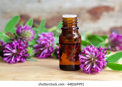 Small Bottle Of Red Clover Extract (tincture, Infusion, Oil)