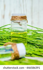 A Small Bottle Of Tincture Of Horsetail (herbal Tincture, Extract, Oil)