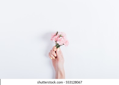 Small bouquet of pink carnations in a woman's hand with yellow nail polish on a white background, copy space