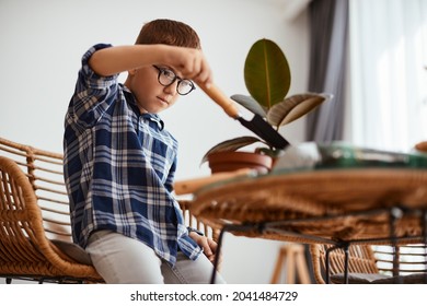 Small Boy Adding Soil While Repotting Flowers Into New Pot At Home.