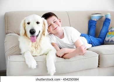 Small boy and cute dog on couch