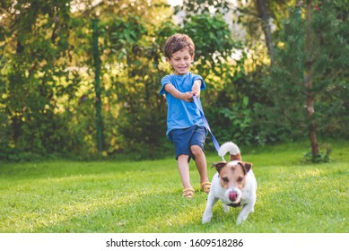 Small boy and dog training to walk on leash without pulling