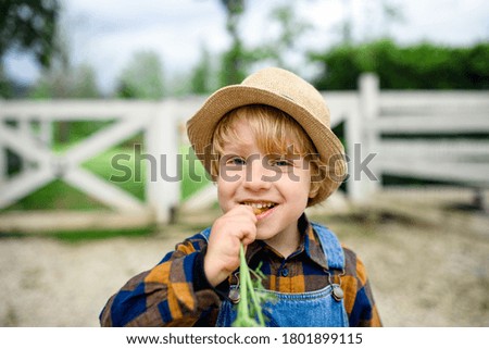 Similar – Image, Stock Photo Carrots from small organic farm. Kid farmer hold carrots