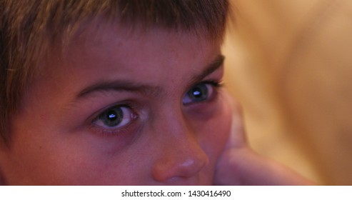 Small Boy Face Watching Movie At Home In The Evening Closeup Of Child Expression And Reaction Absorbing Content On TV.