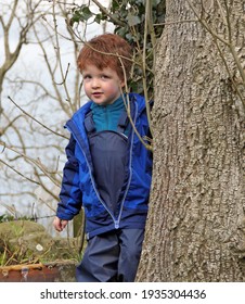 Small boy having fun playing in a tree