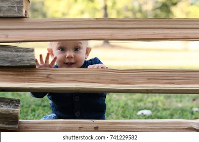 Small boy hiding behind a fence. Outdoor activity game concept. Hide-and-seek game.