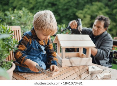 Small boy with senior grandfather in wheelchair constructing birdhouse, diy project.