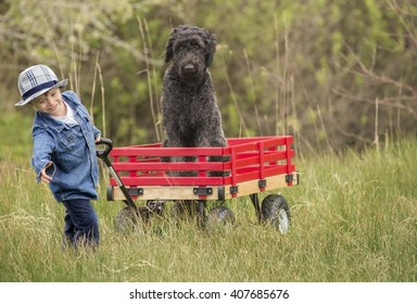 Small Boy Trying To Pull His Big Red Wooden Wagon With His Large Poodle Dog In It.