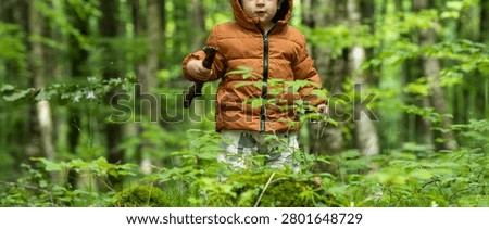 Small boy walking through lush woods, finding adventure in nature