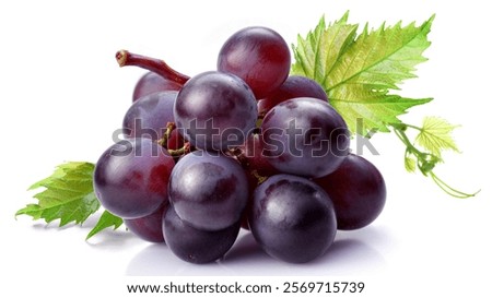 Small branch of dark grapes with leaves isolated on white background.