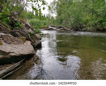 A Small Break Off Of The Chena River