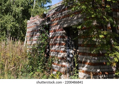 Small Brick House Overgrown With Bushes And Trees