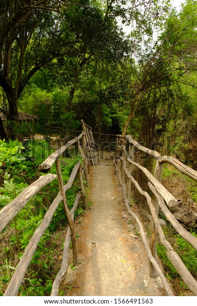 a small bridge by the river in the countryside.\
the handle and divider on this bridge are made of wood. scrub\
growing around rivers and bridges. in the tropics bushes of green\
foliage grow easily.