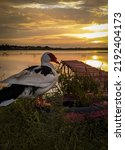 Small bridge with ducks at sunset.