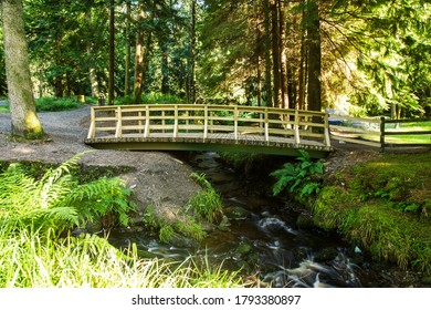 A Small Bridge In Gortin Glen Park Co. Tyrone