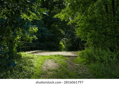 Small bridge on a dirt path crossing through a lush green summer forest park