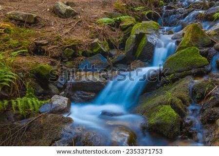 small brook flow in mountain canyon