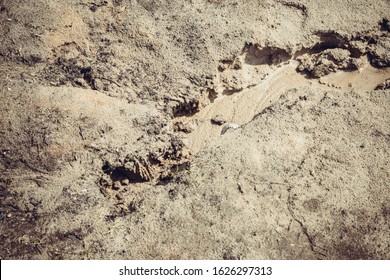 Small Brook Making Moat In The Sand From Large Lake