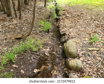 A Small Brook Running Between A Yard And A Forest.