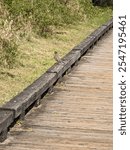 A small brown bird with a red stomach sitting on a wooden boardwalk trail of a nature preserve in Hoquiam, Washington. 